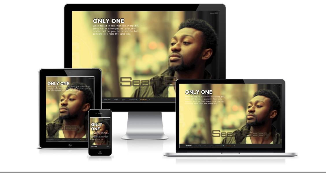 Sean Seay's ONLY ONE responsive mini website